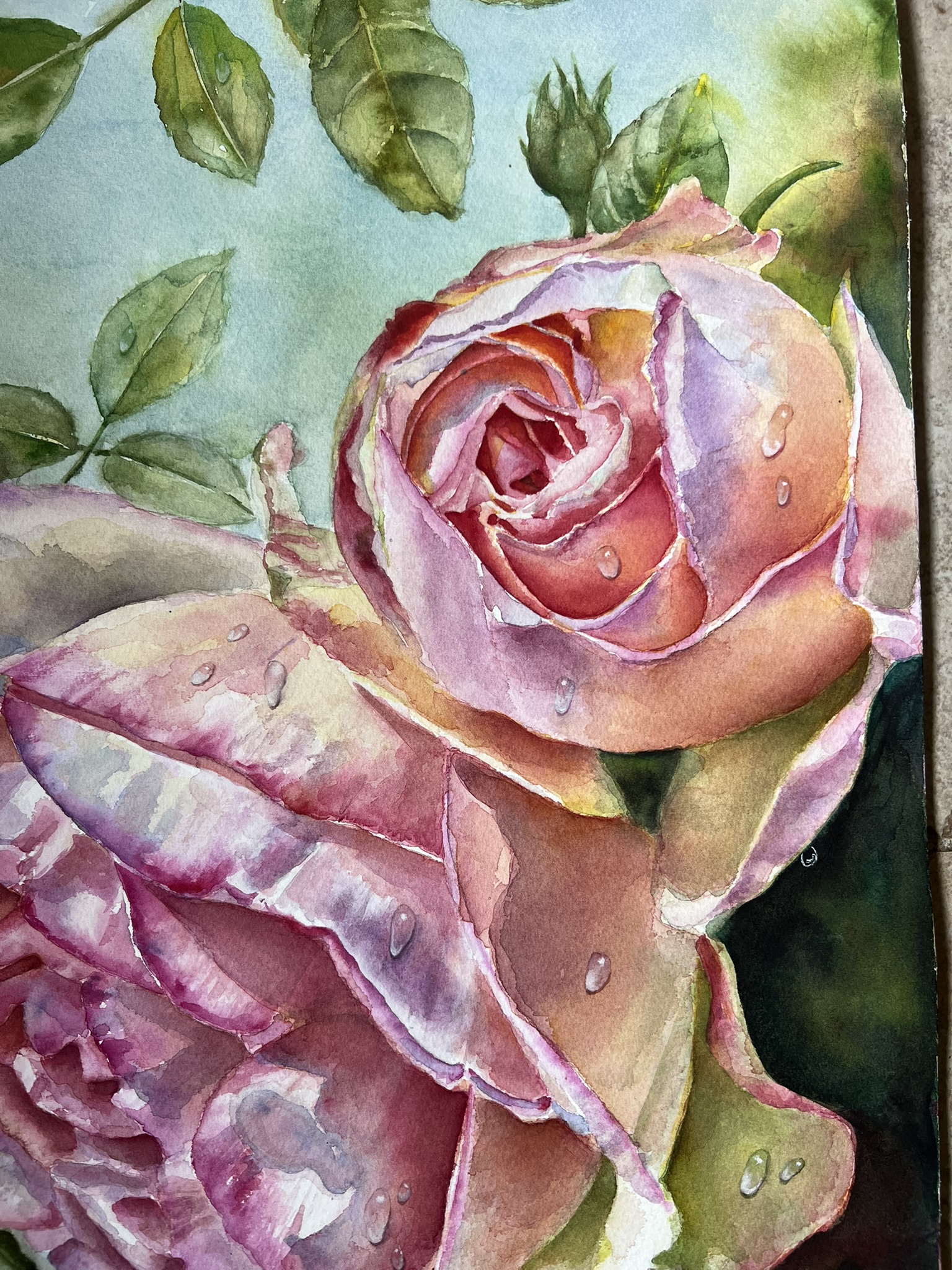 Close detail of watercolor dewdrops on the Eden Rose petals and leaves