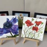 Small original watercolor paintings - framed or unframed available