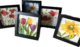 Gift ideas for art lovers ? Little Floral Poems- Original Paintings