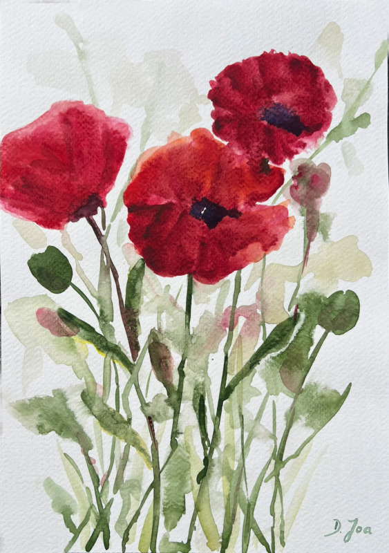 Poppies