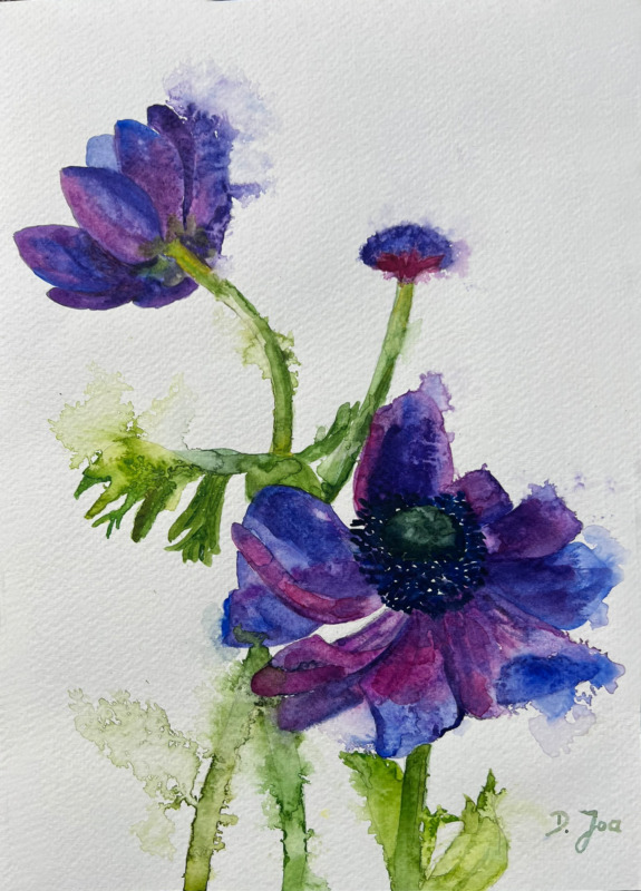 Anemonen