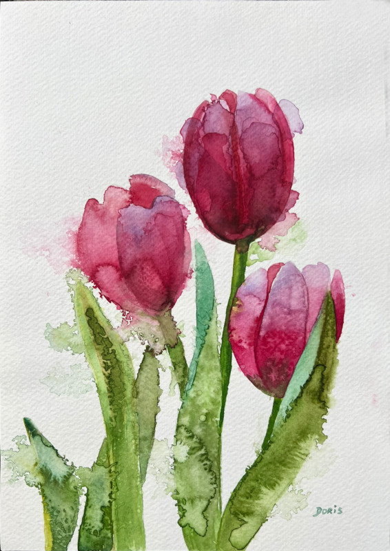 Tulips