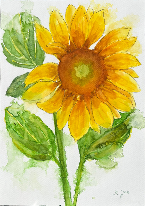 Sunflower