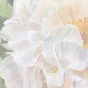 How to paint white flowers in watercolor How to paint white flowers in watercolor - watercolor tutorial by Doris Joa