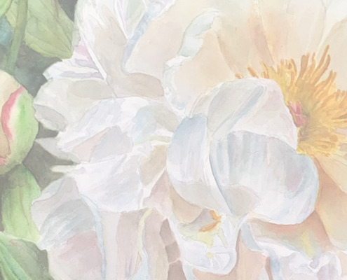 How to paint white flowers in watercolor - watercolor tutorial by Doris Joa