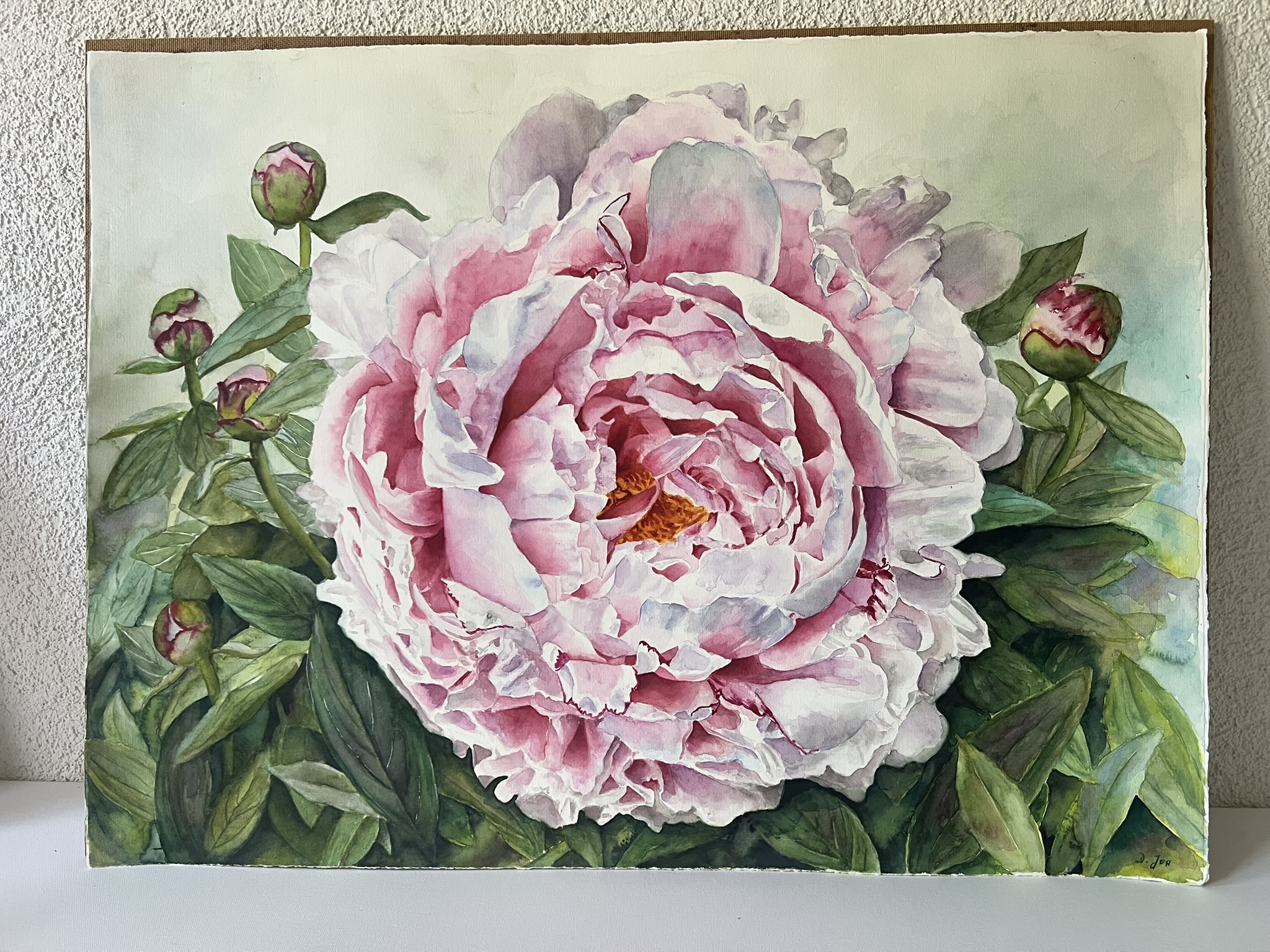 Promise of Summer – Large Pink Peony Original Watercolor - Image 2