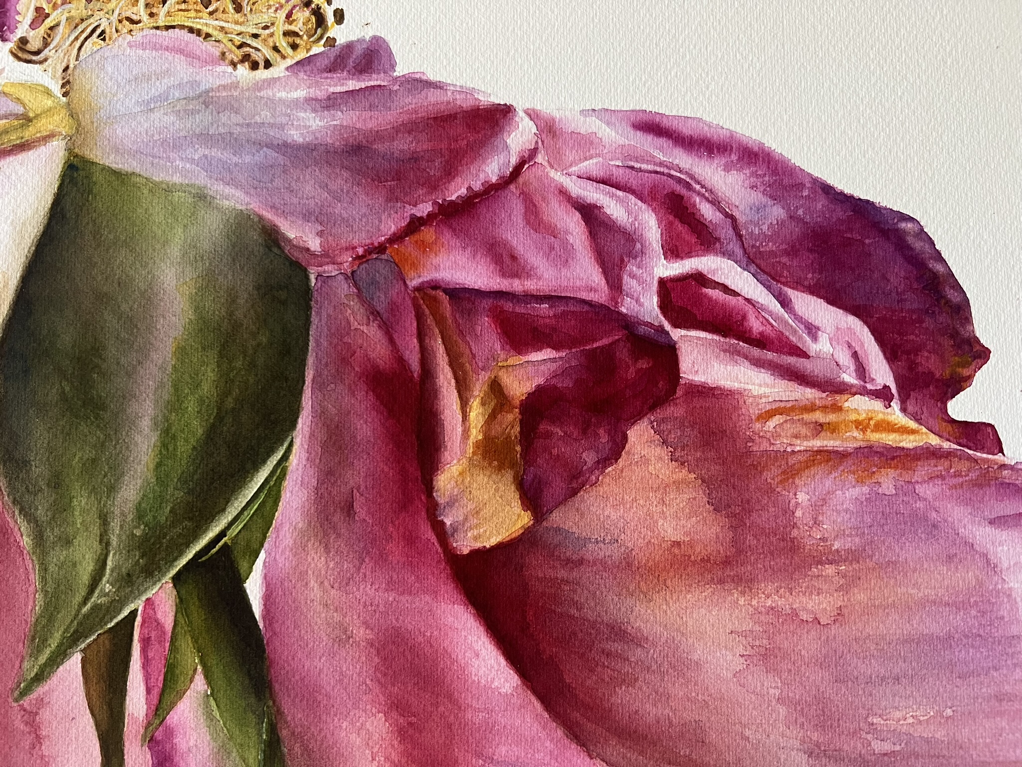 The Last Dance of a Rose – Large Original Watercolor Painting - Image 2
