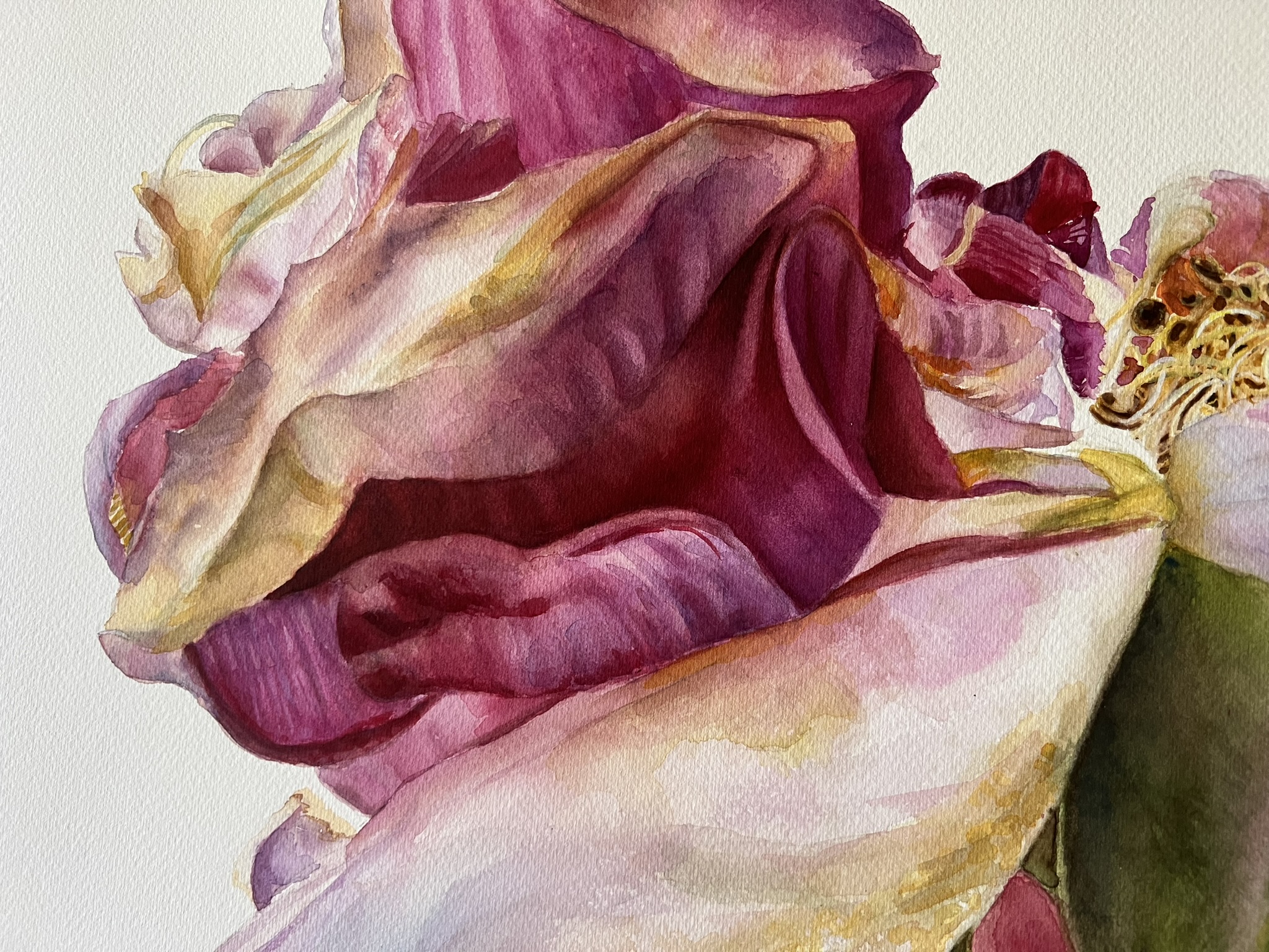 The Last Dance of a Rose – Large Original Watercolor Painting - Image 5