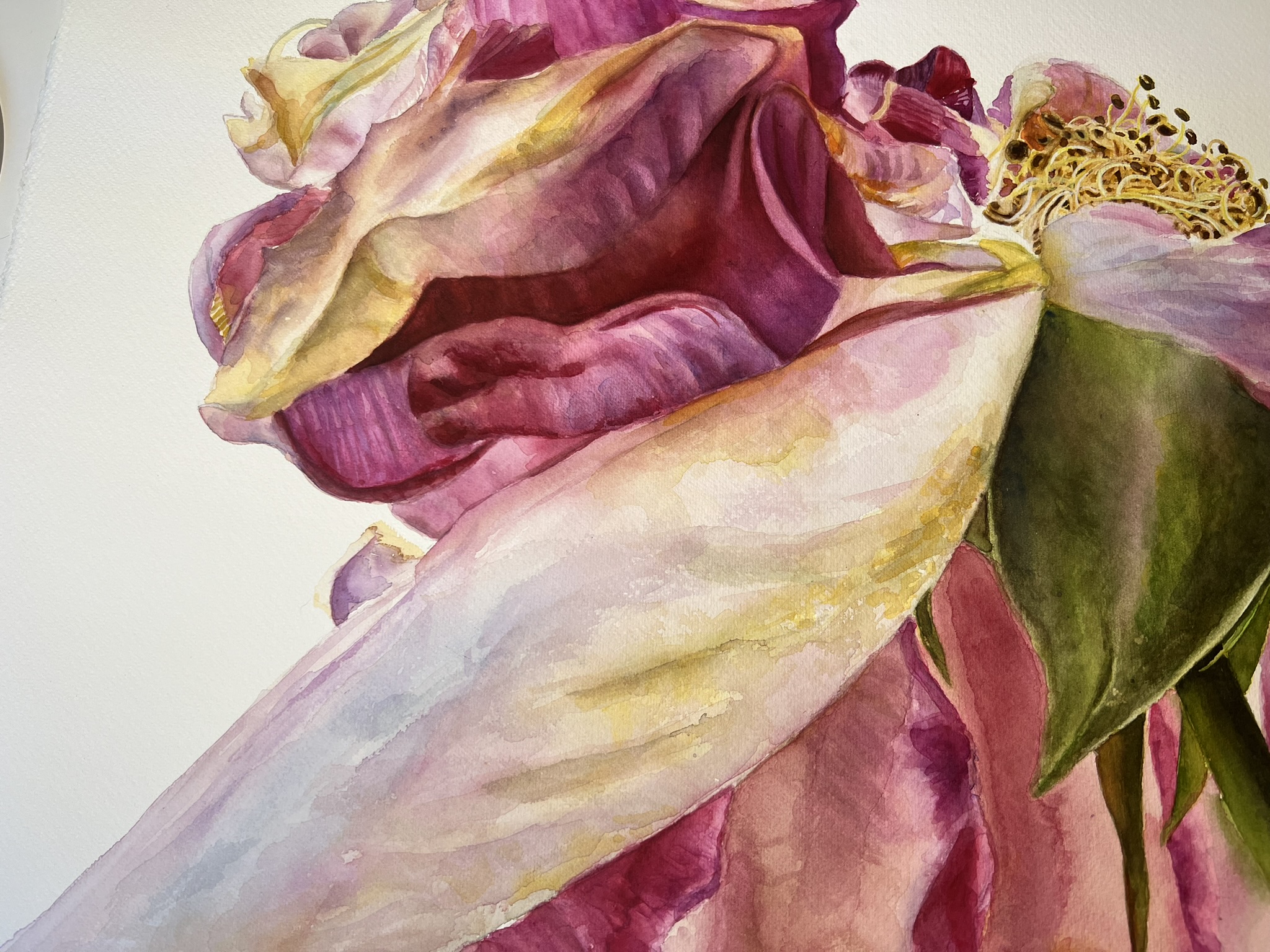 The Last Dance of a Rose – Large Original Watercolor Painting - Image 6