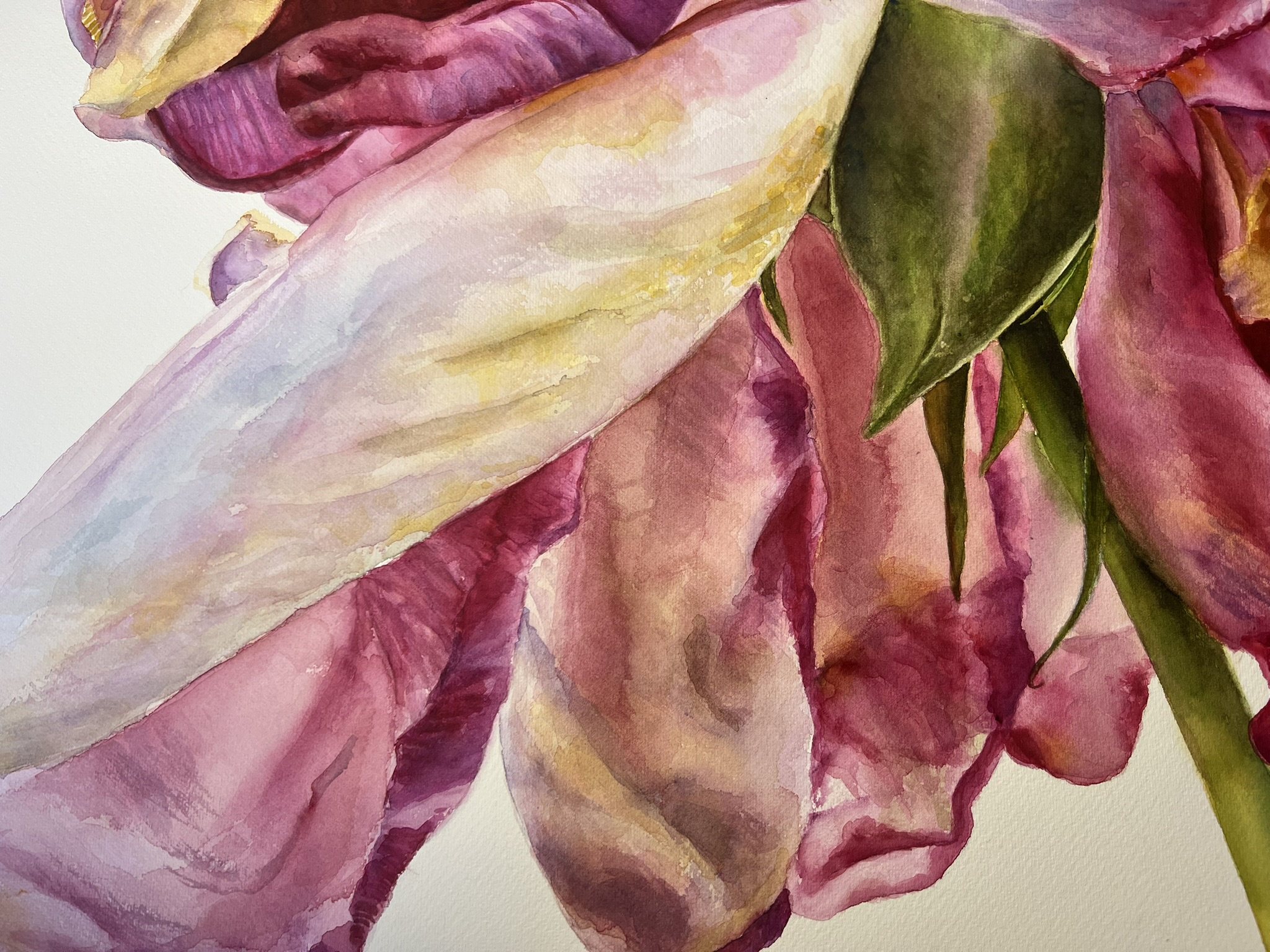 The Last Dance of a Rose – Large Original Watercolor Painting - Image 7