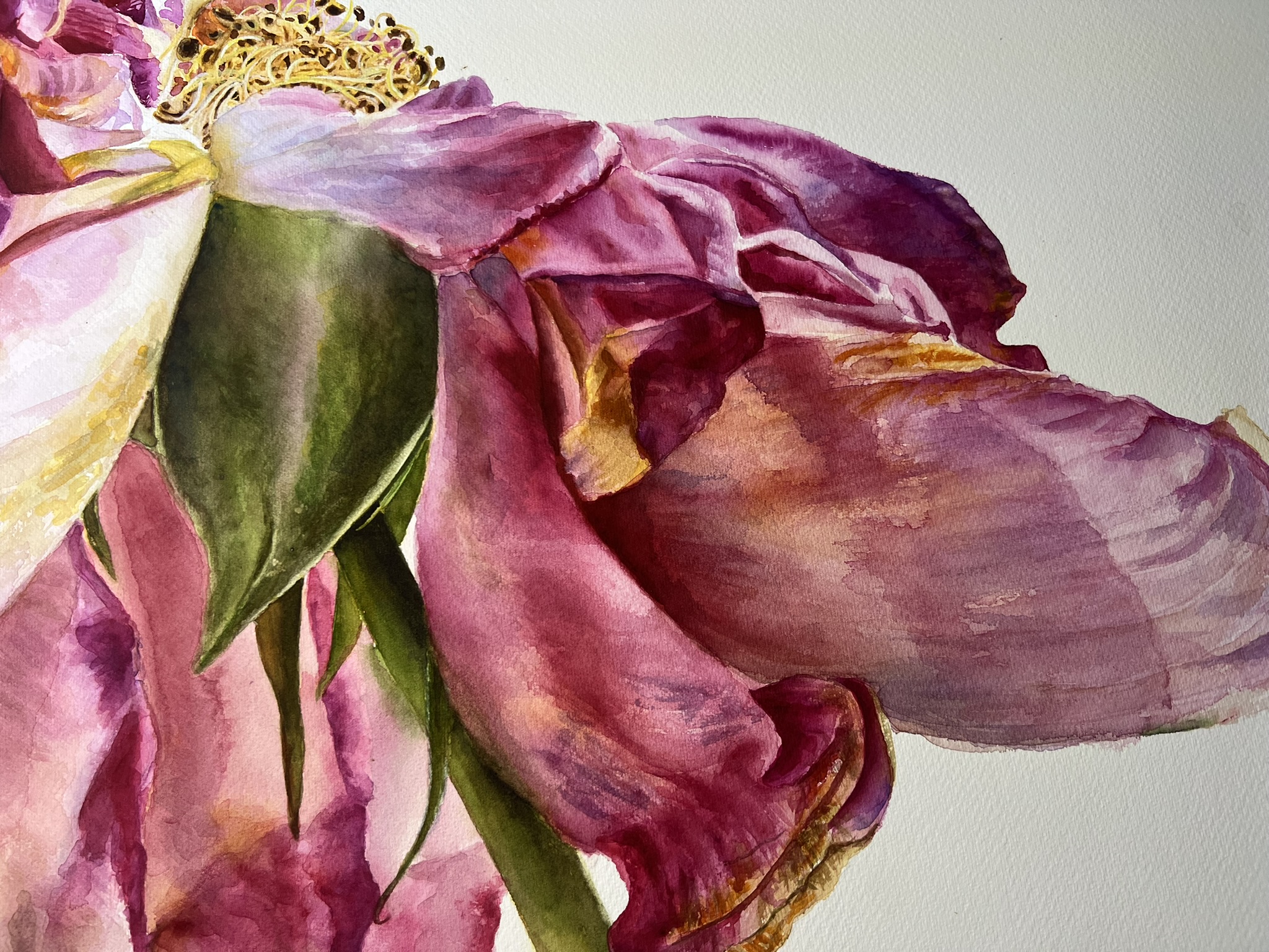 The Last Dance of a Rose – Large Original Watercolor Painting - Image 9