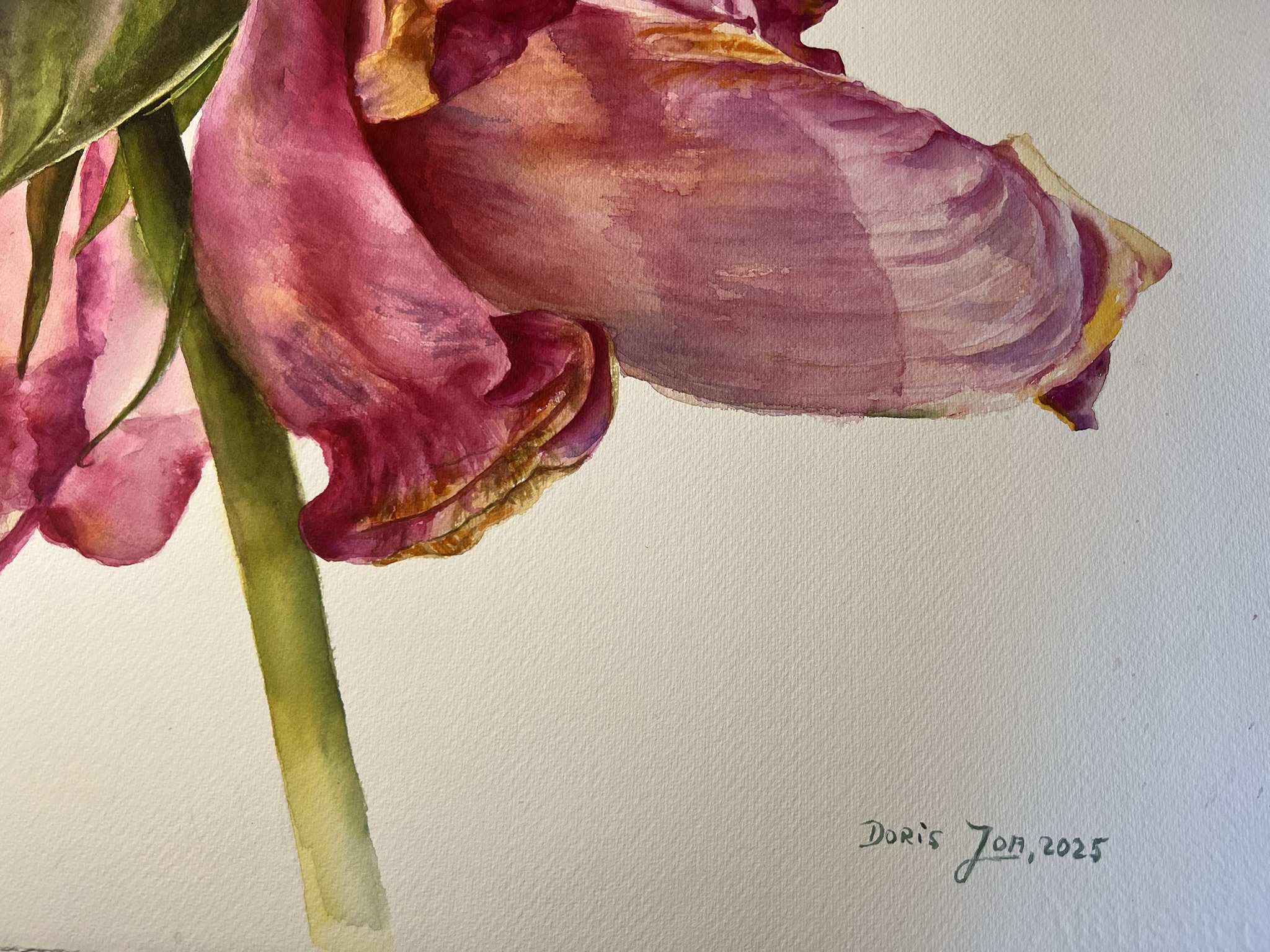 The Last Dance of a Rose – Large Original Watercolor Painting - Image 8