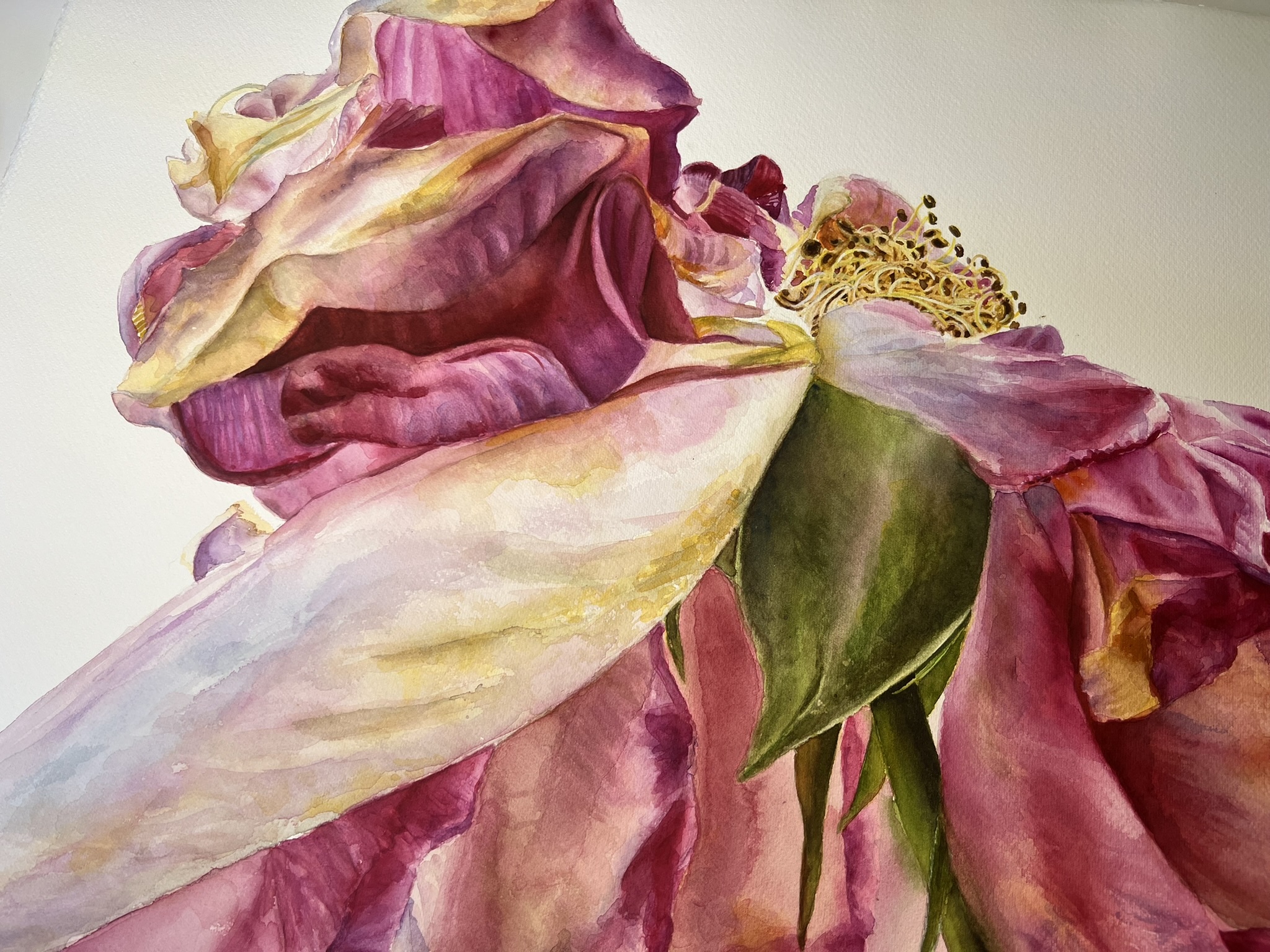 The Last Dance of a Rose – Large Original Watercolor Painting - Image 10