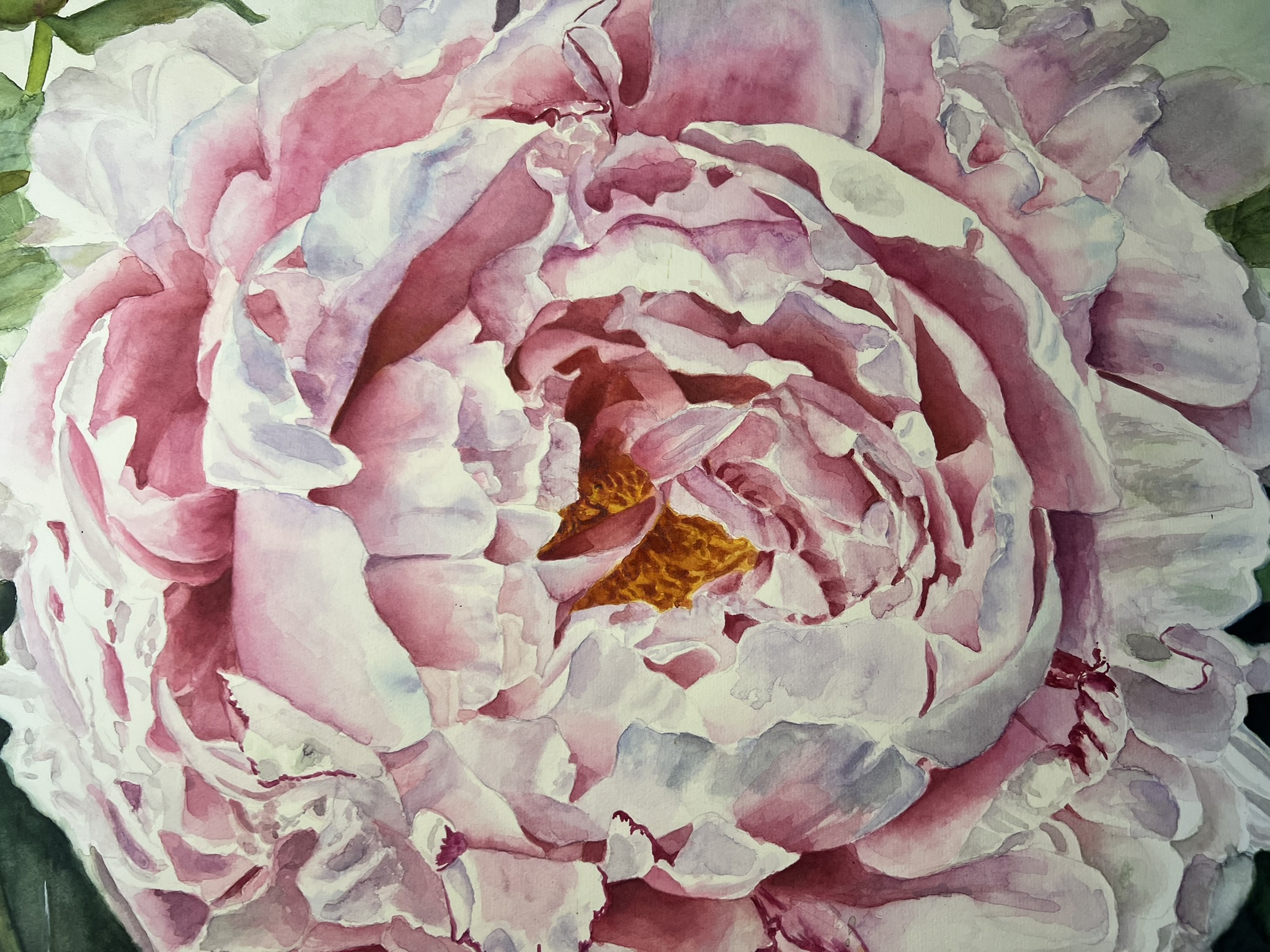 Promise of Summer – Large Pink Peony Original Watercolor - Image 6
