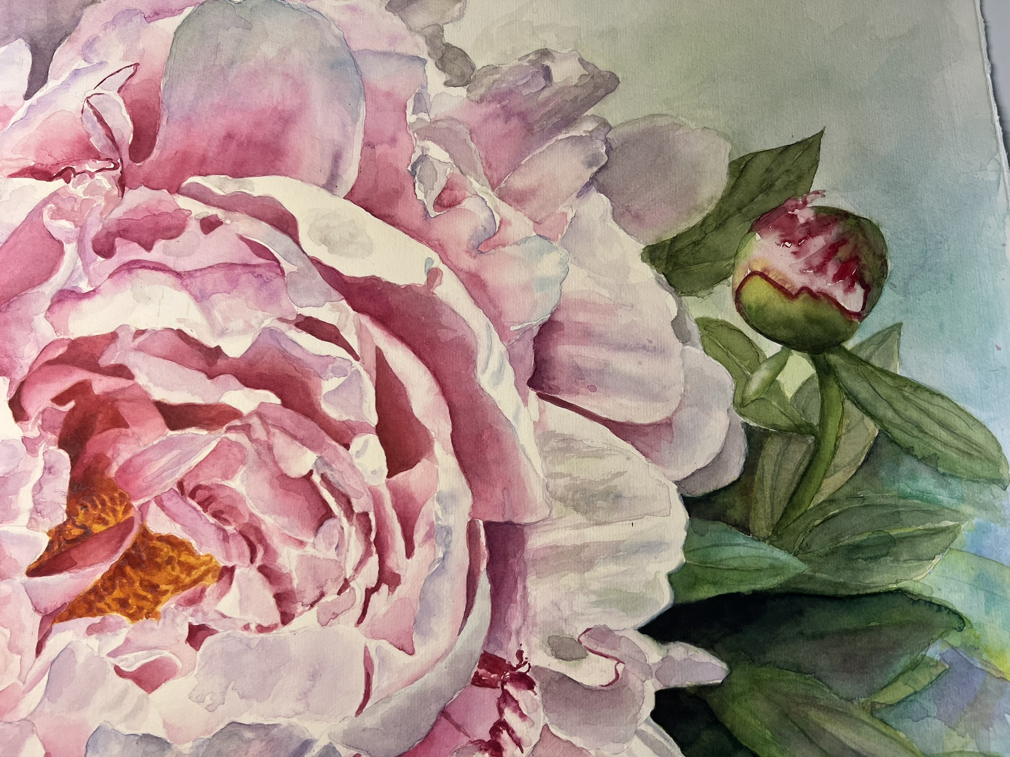 Promise of Summer – Large Pink Peony Original Watercolor - Image 7