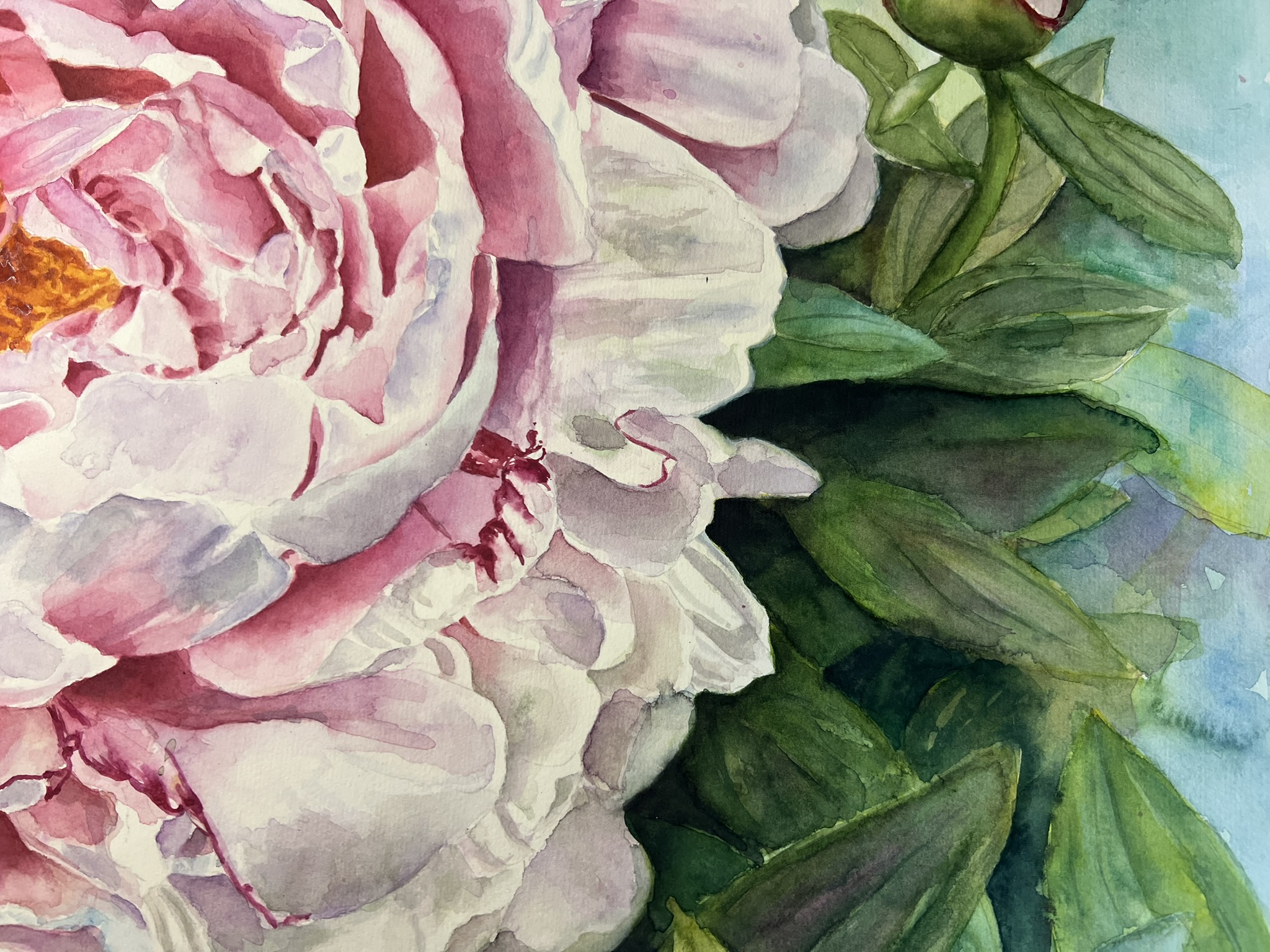 Promise of Summer – Large Pink Peony Original Watercolor - Image 8