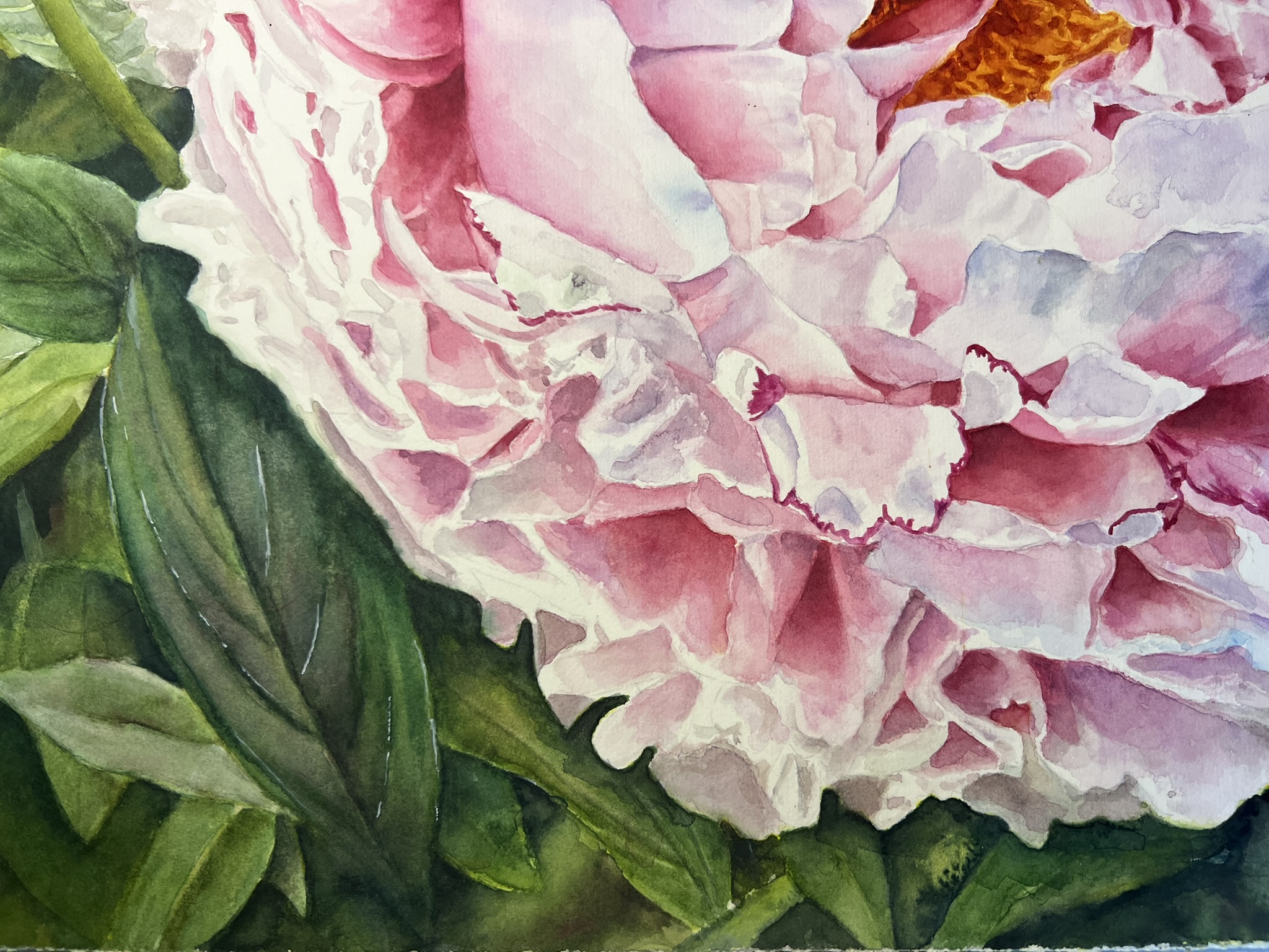 Promise of Summer – Large Pink Peony Original Watercolor - Image 9