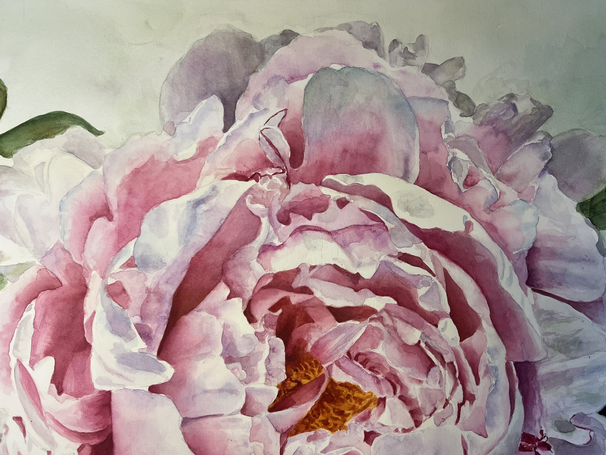 Promise of Summer – Large Pink Peony Original Watercolor - Image 10