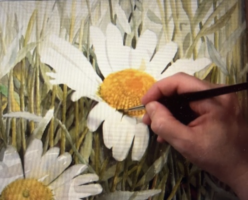 Painting the centre of a white daisy - video lesson in watercolor