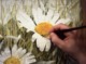 Painting the centre of a white daisy - video lesson in watercolor