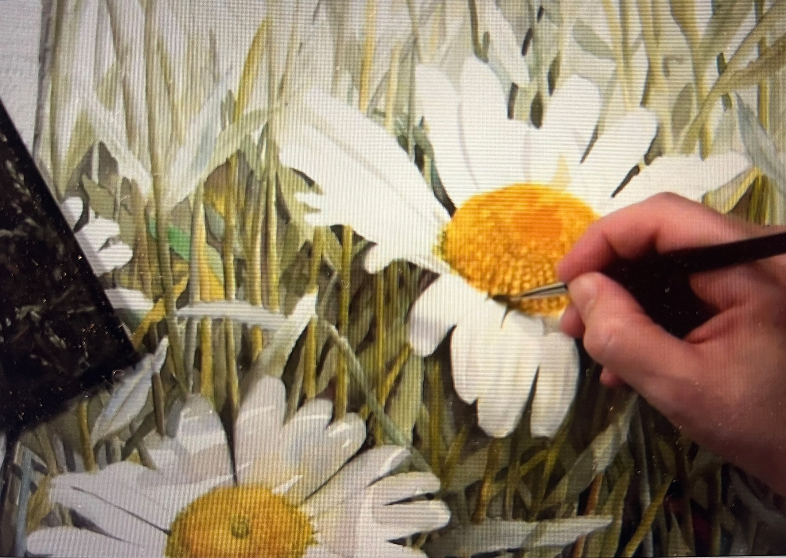 Painting the glowing centre of a white daisy in watercolor