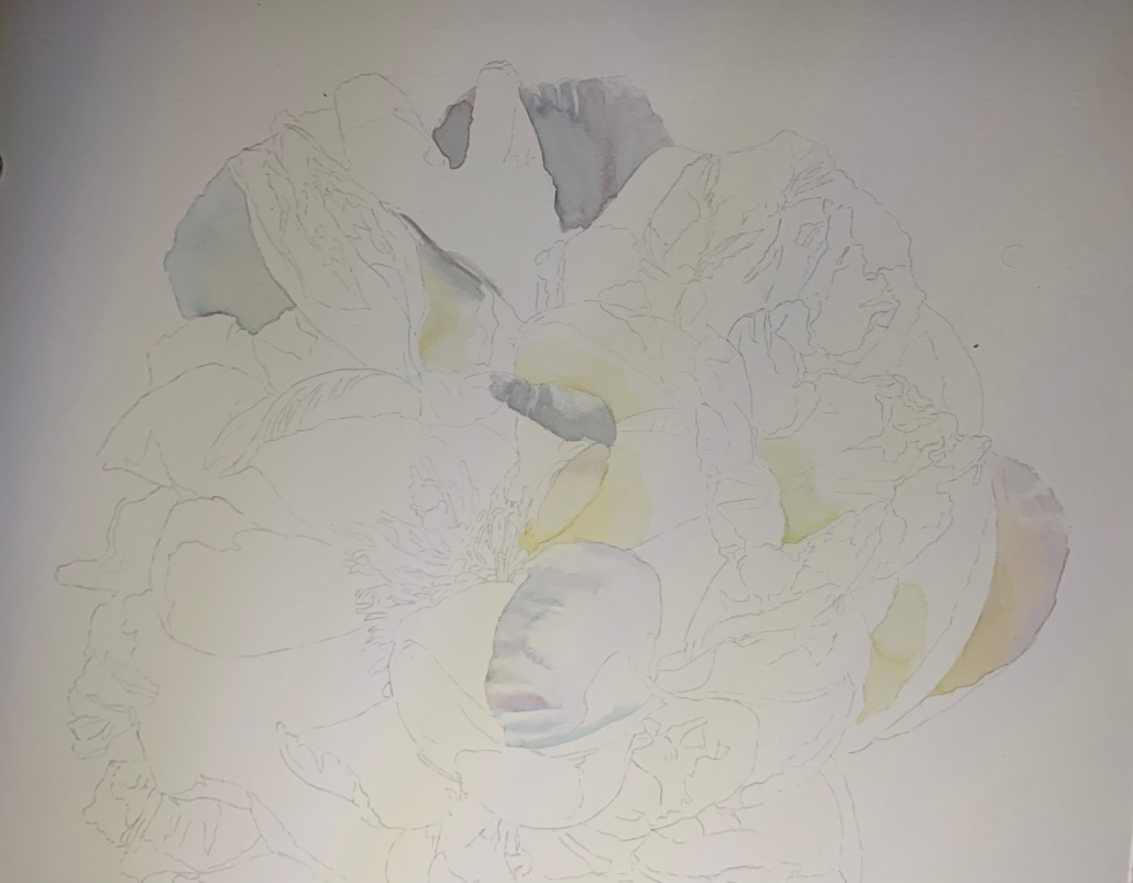 How to paint white flowers in watercolor - early brushstrokes