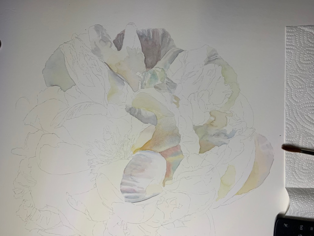 Progress of painting the colour white in a white peony painting