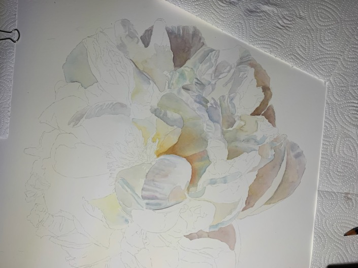 Step-by-Step of painting a white flower in watercolor