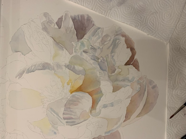 Painting a white Peony
