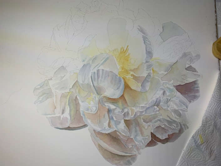 Wie male ich eine weiße Blume in Aquarell