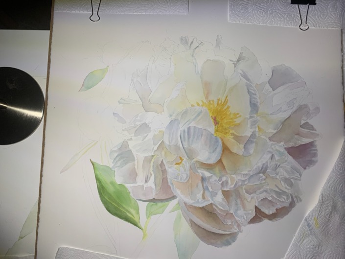 Peony in Watercolor - Pfingstrose in Aquarell