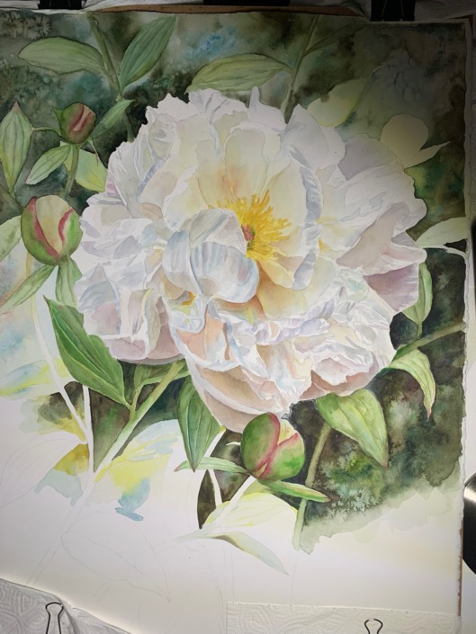 IMG_7351 Salttechnique in watercolor Watercolor Tutorioal - using Salt in the background - how to paint white flowers