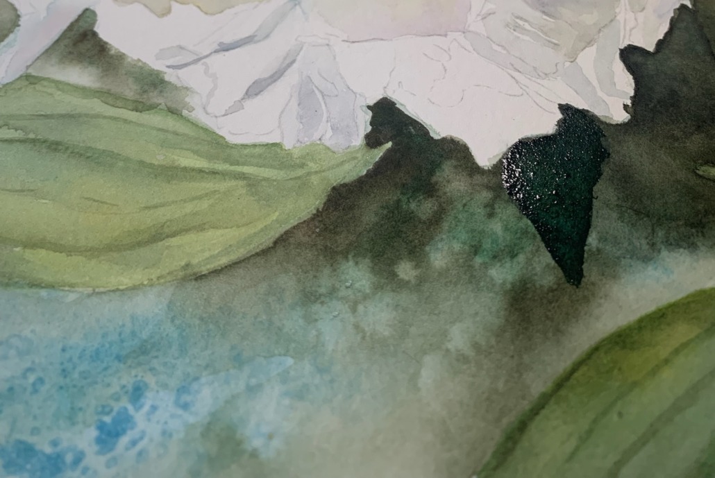 Adding Salt to the background - Salttechnique - watercolor tutorial about painting white flowers
