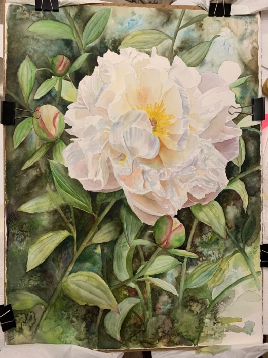 Watercolor Tutorial of a white flower in watercolor - watercolor painting