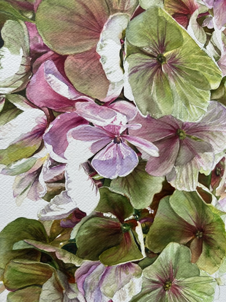 IMG_8523 Hydrangea in Watercolor - Detailphoto