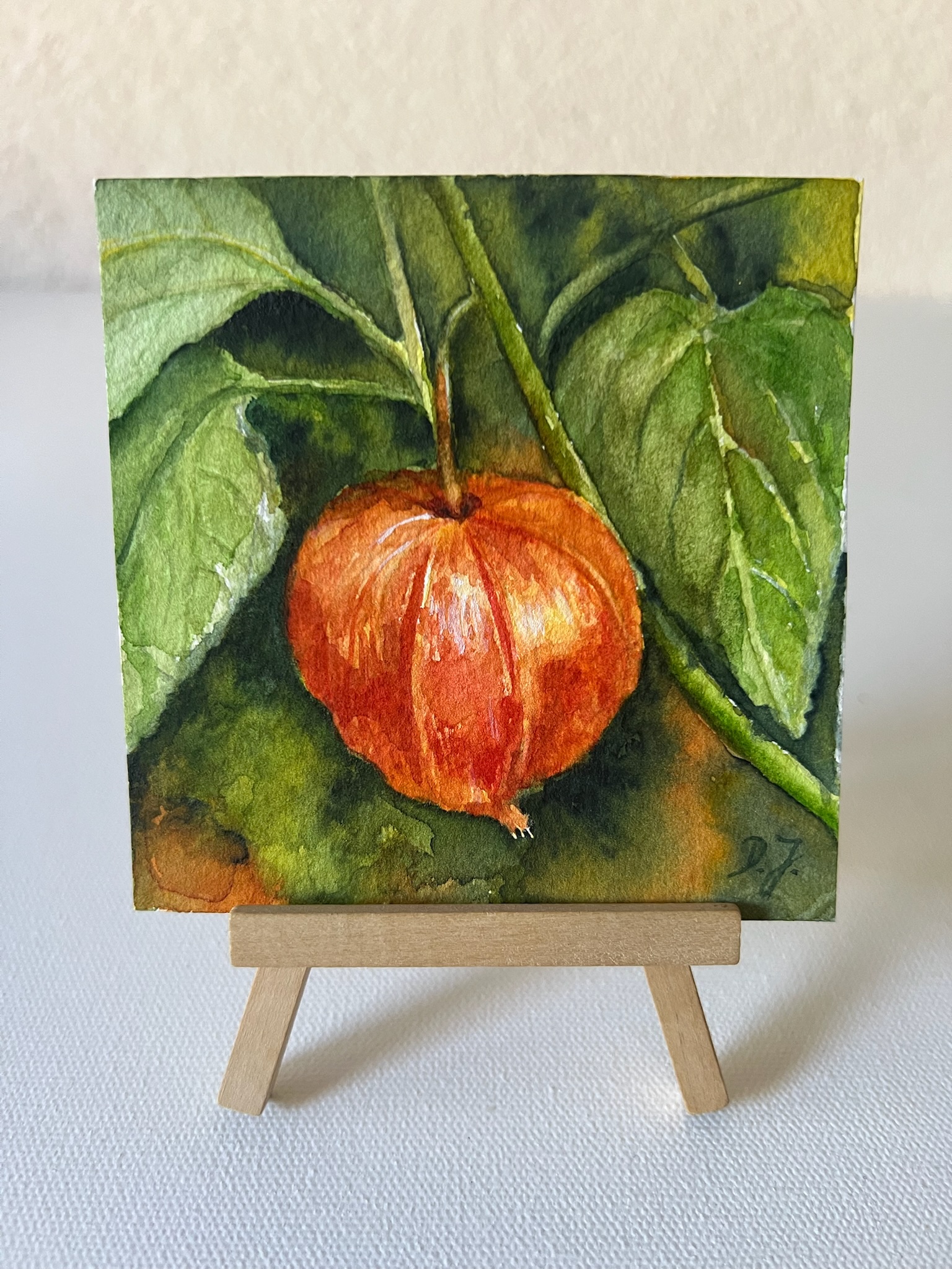 Little Floral Poem - Chinese Lantern - Image 10