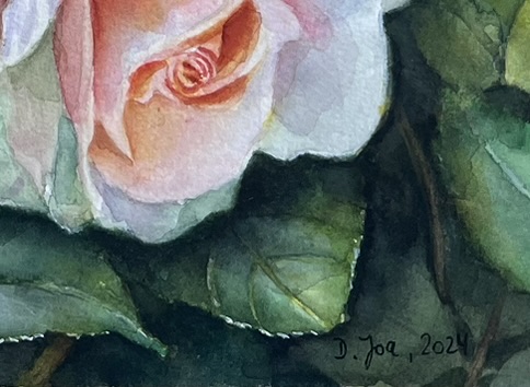 A small ladybird beside a rose, painted in watercolor