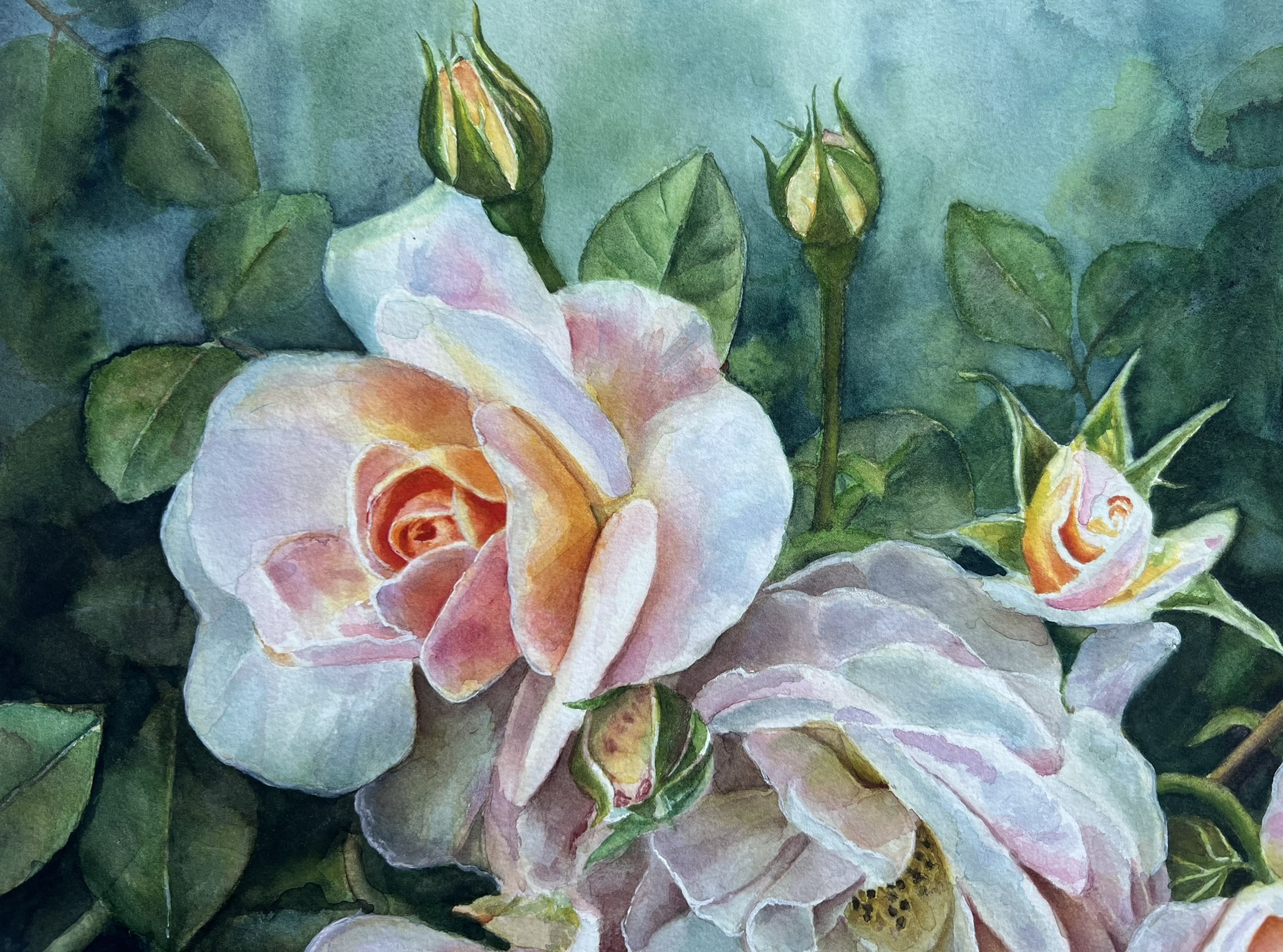 Detail of pale rose petals and buds against deeper green foliage