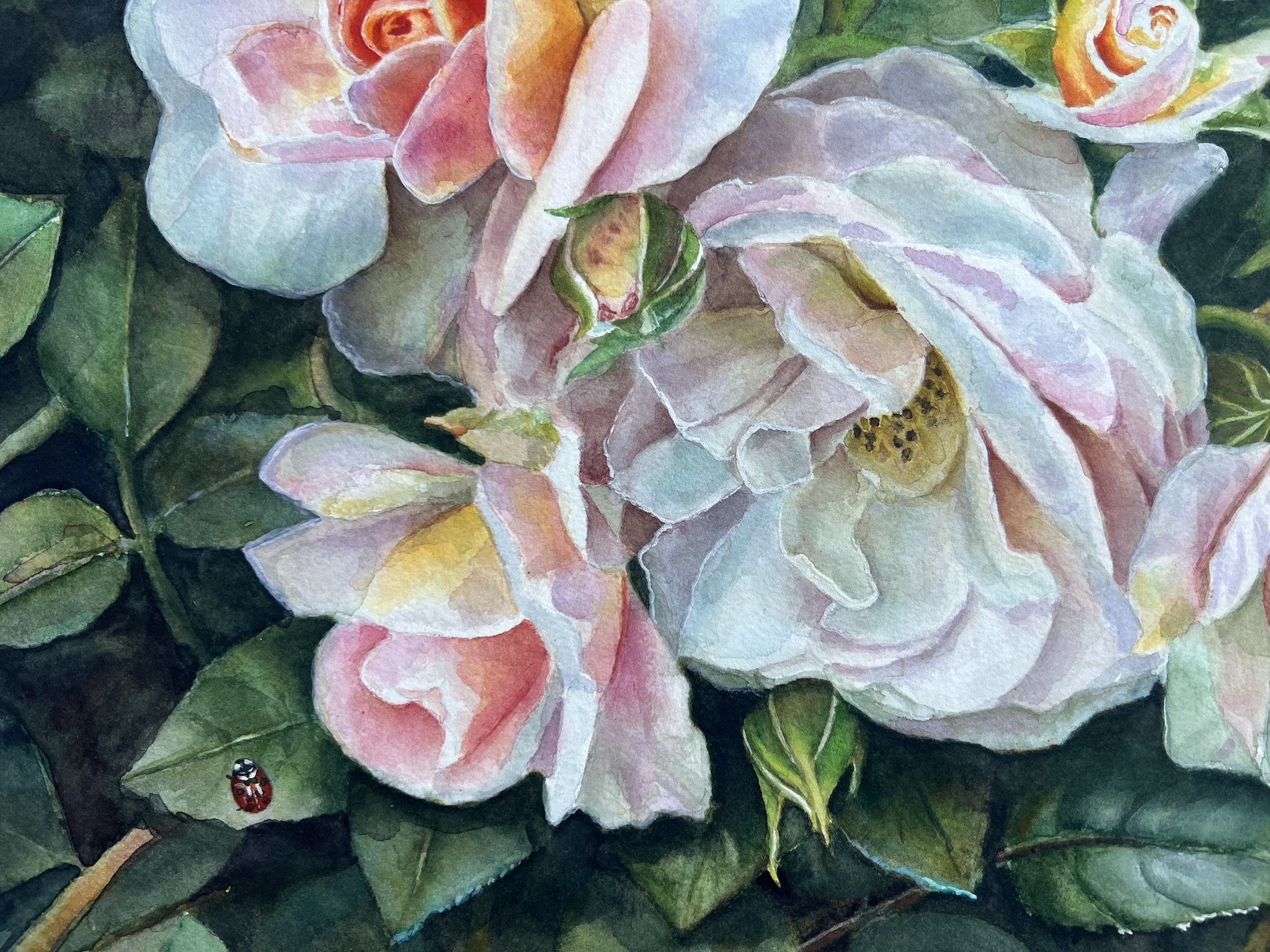 Rose petals and a tiny ladybird on a leaf in an original watercolor by Doris Joa