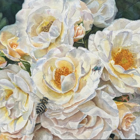 The Heart of a Summer Garden, original white rose watercolor with a bee and a green fly by Doris Joa
