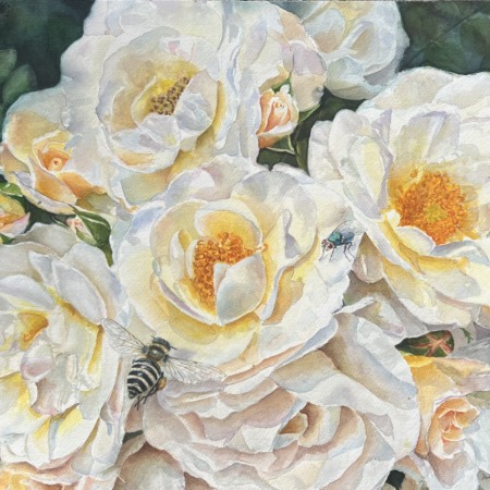The Heart of a Summer Garden, original white rose watercolor with a bee and a green fly by Doris Joa