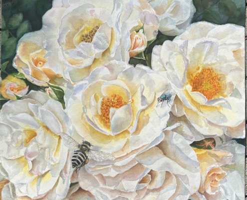 The Heart of a Summer Garden, original white rose watercolor with a bee and a green fly by Doris Joa