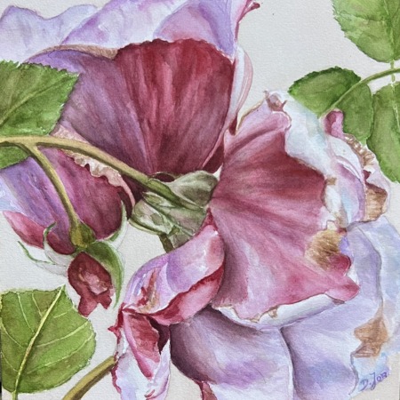 Lila Rose in rich shades of burgundy and violet, original watercolor painting