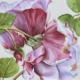 Lila Rose in rich shades of burgundy and violet, original watercolor painting