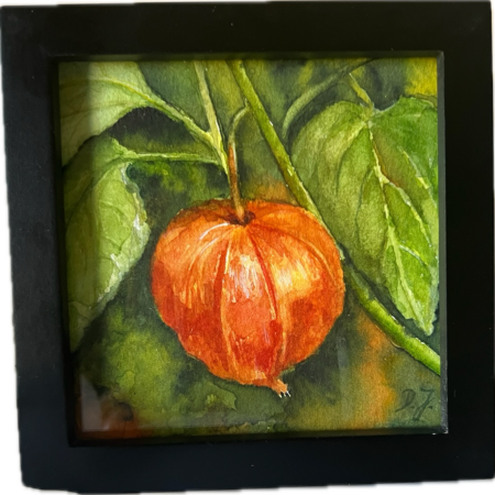 Lampionblume - chinese Lantern - Little floral poem - watercolor painting
