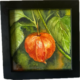 Lampionblume - chinese Lantern - Little floral poem - watercolor painting
