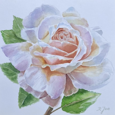 white apricot rose in watercolor